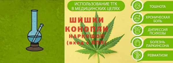 мдпв Пенза