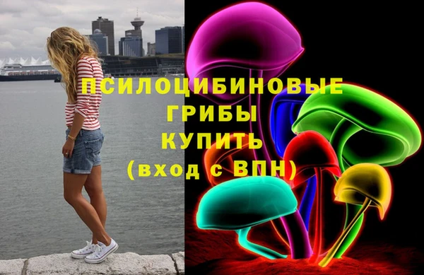 мдпв Пенза