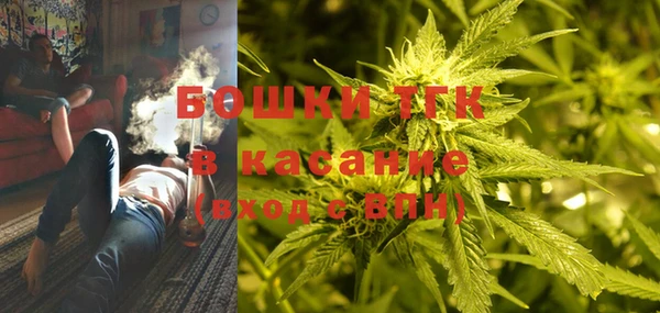 мдпв Пенза