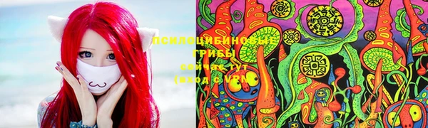 гидропоника Киров