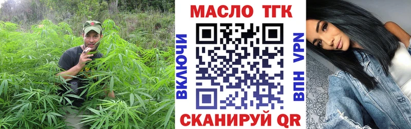 площадка какой сайт  omg ТОР  Алейск  ТГК концентрат 