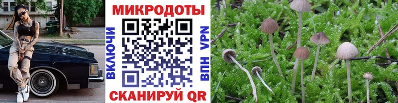 Галлюциногенные грибы Cubensis  KRAKEN ссылка  Алейск 