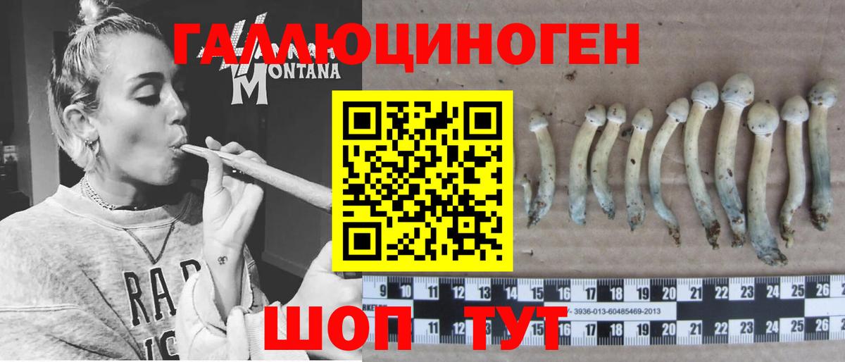 Алейск  Галлюциногенные грибы Magic Shrooms  Галлюциногенные грибы MAGIC MUSHROOMS  Вход с VPN 