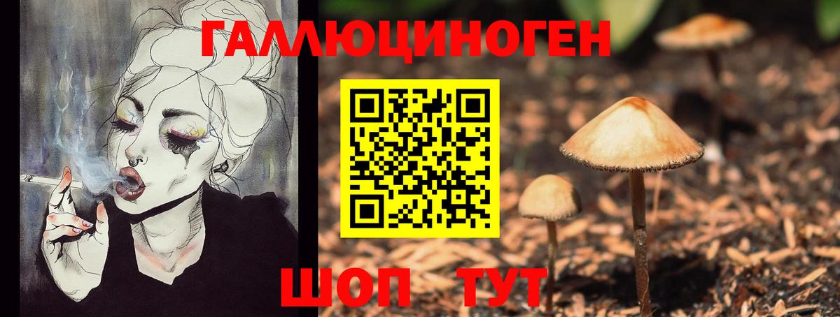 Псилоцибиновые грибы MAGIC MUSHROOMS  где найти   Алейск 